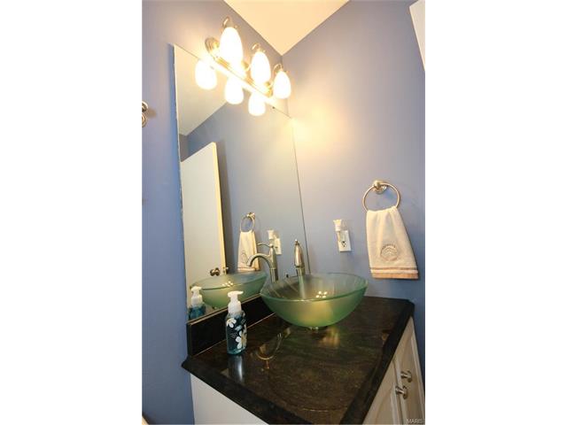 16544 Birch Forest Dr, Ballwin, MO 63011 photo 27