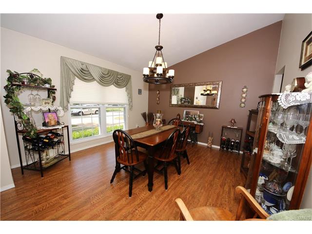 16544 Birch Forest Dr, Ballwin, MO 63011 photo 17