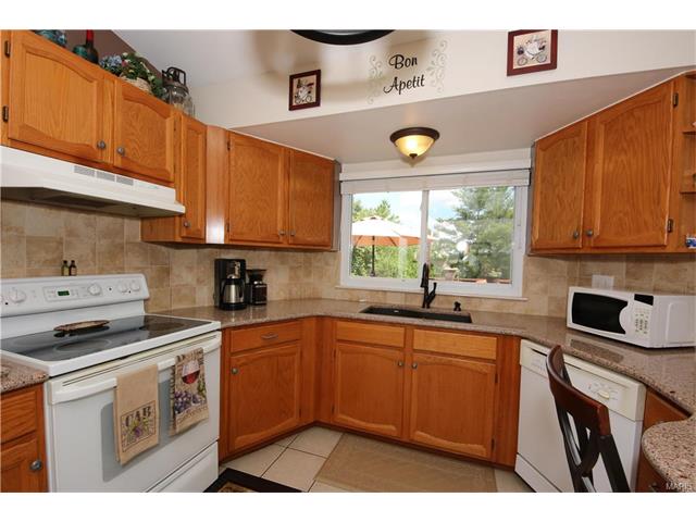 16544 Birch Forest Dr, Ballwin, MO 63011 photo 16