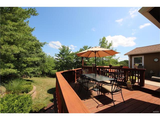 16544 Birch Forest Dr, Ballwin, MO 63011 photo 3