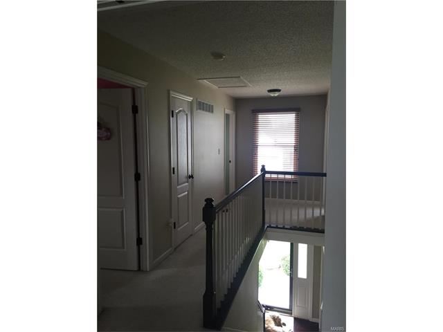 6915 Cog Mill Dr, O'fallon, MO 63368 photo 4
