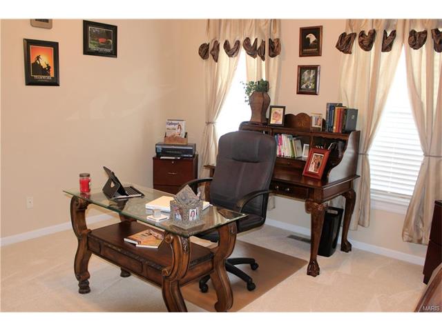 7808 Wind Hl, O'fallon, MO 63368 photo 59