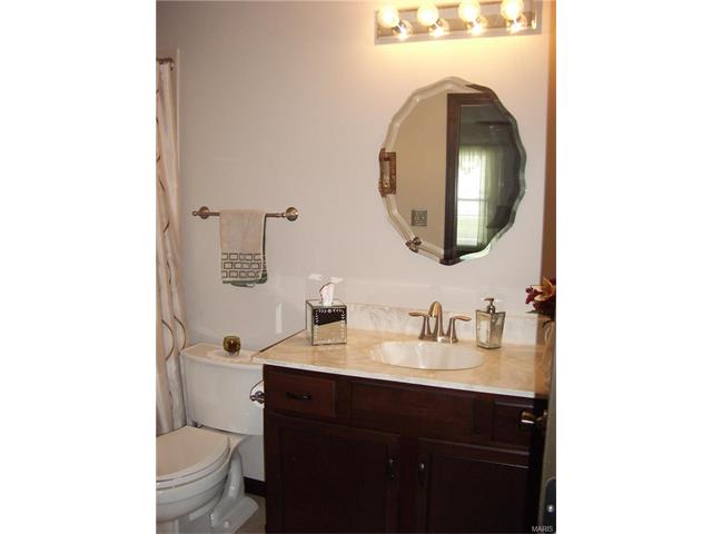 863 Westbrooke Meadows Ct, Ballwin, MO 63021 photo 16