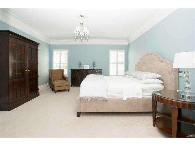 308 Copper Tree Ct, O'fallon, MO 63368 photo 15