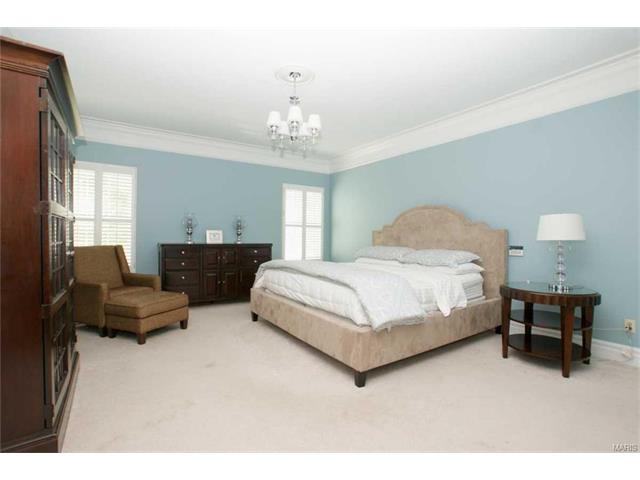 308 Copper Tree Ct, O'fallon, MO 63368 photo 14