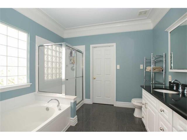 308 Copper Tree Ct, O'fallon, MO 63368 photo 16