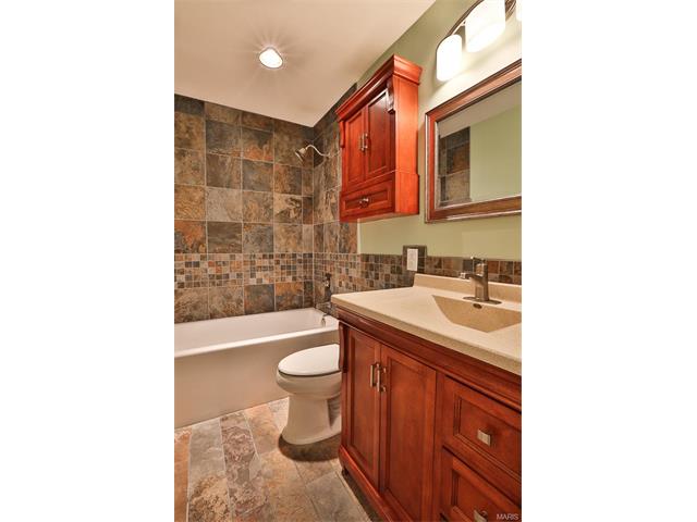 123 Vlasis Dr, Ballwin, MO 63011 photo 21