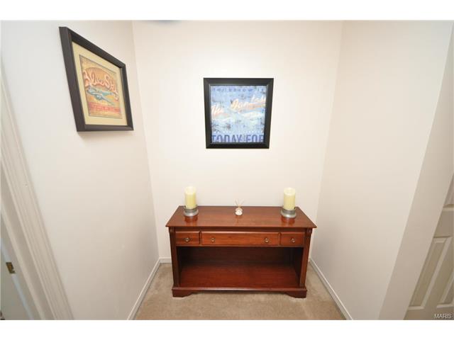 222 Tyndale Dr, O'fallon, MO 63366 photo 19