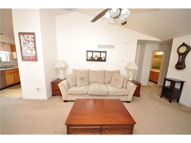 222 Tyndale Dr, O'fallon, MO 63366 photo 5