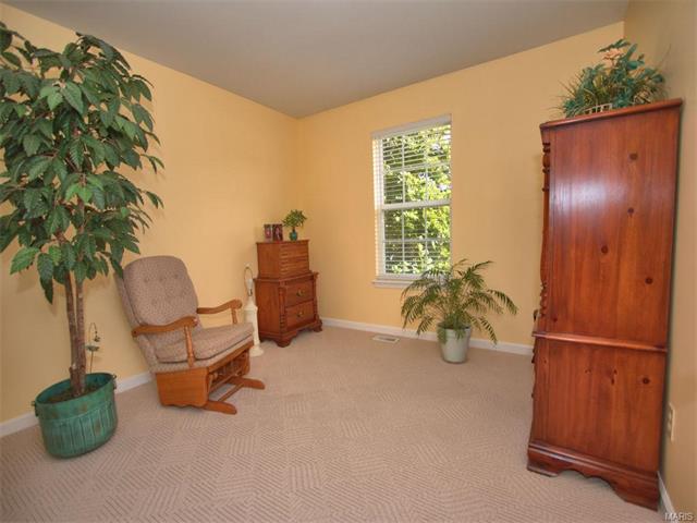 1745 Forest Trace Dr, O'fallon, MO 63368 photo 16