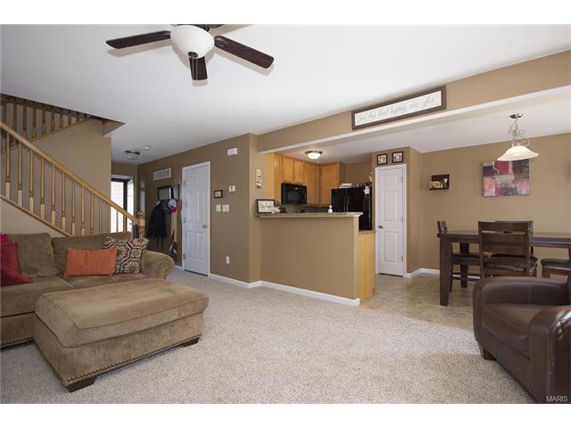 19 Brushy Brook Ct, O'fallon, MO 63366 photo 8