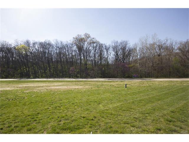 19 Brushy Brook Ct, O'fallon, MO 63366 photo 21