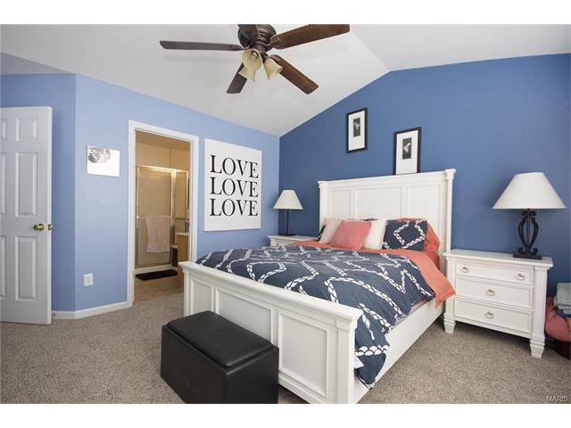 19 Brushy Brook Ct, O'fallon, MO 63366 photo 12