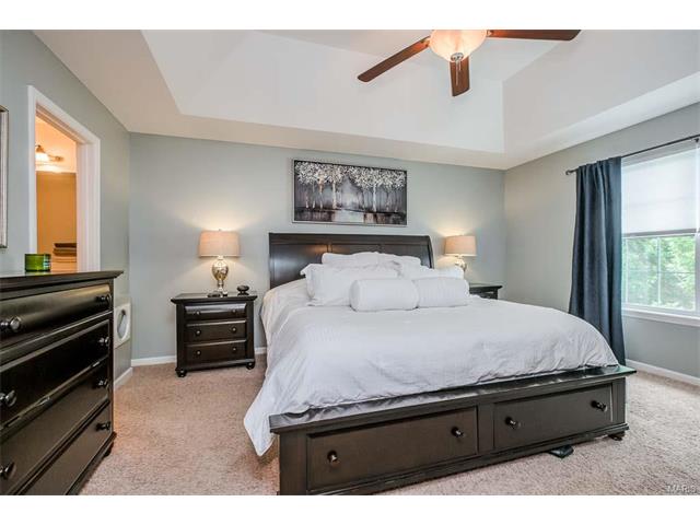 1440 Soaring Eagle Dr, O'fallon, MO 63366 photo 44