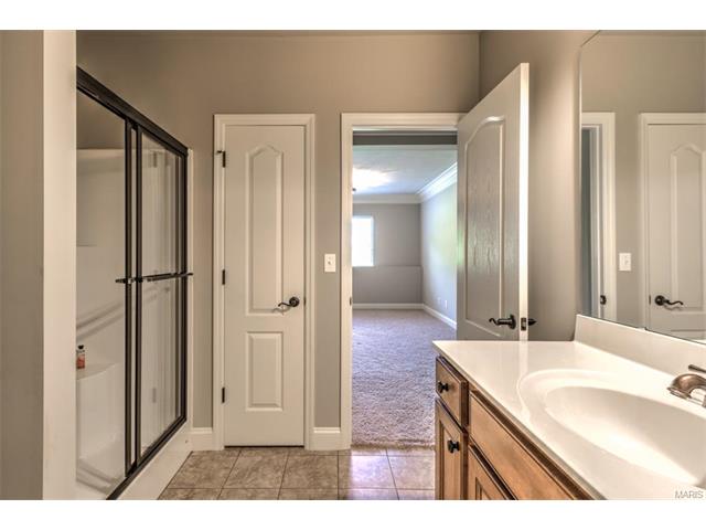 44 Mint Ct, O'fallon, MO 63366 photo 31