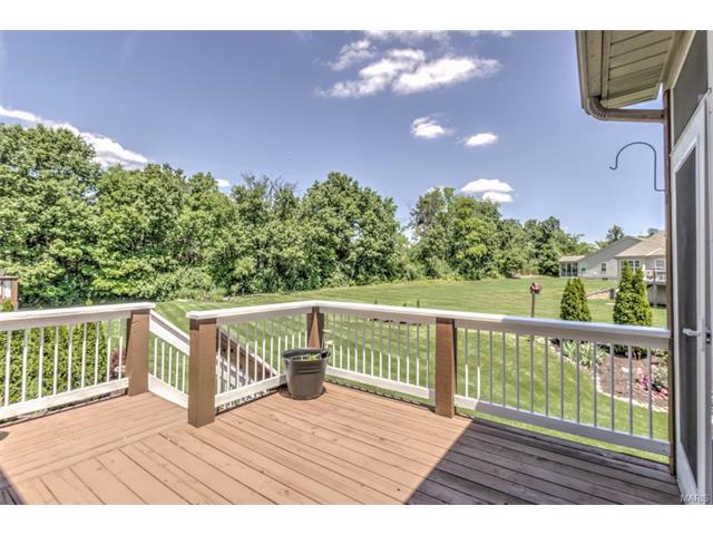 44 Mint Ct, O'fallon, MO 63366 photo 13