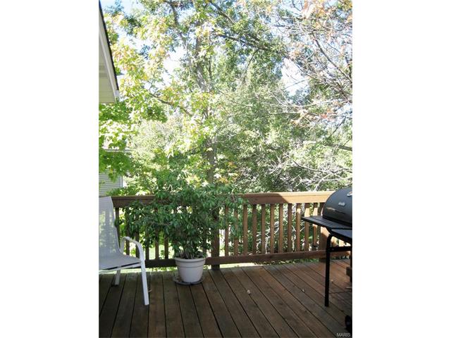 661 Showplace Ct, Ballwin, MO 63021 photo 38