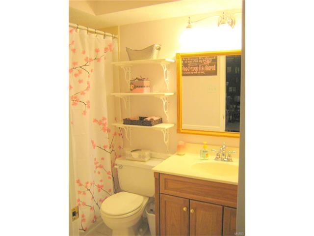 104 Willow Dr, Eureka, MO 63025 photo 20
