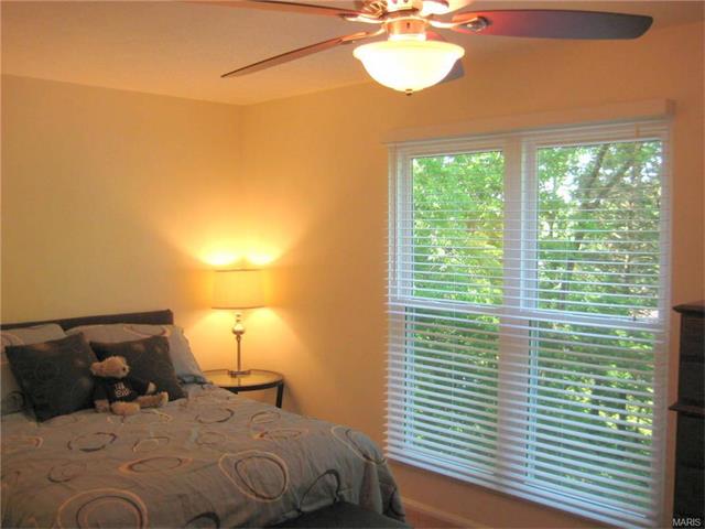 104 Willow Dr, Eureka, MO 63025 photo 21