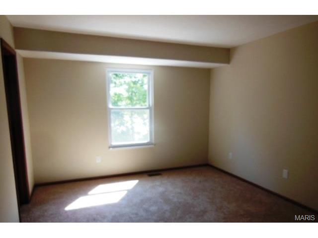 6317 Long Timber Dr, O'fallon, MO 63368 photo 15