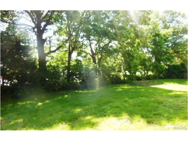 6317 Long Timber Dr, O'fallon, MO 63368 photo 22