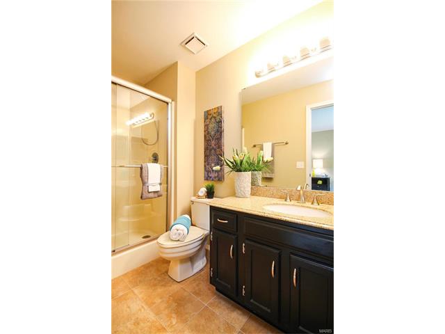 389 Westbrook, O'fallon, MO 63366 photo 10
