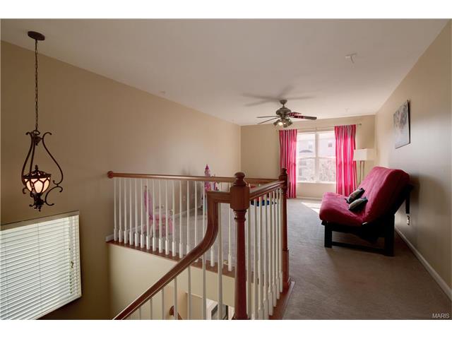 1248 Cold Spring Dr, O'fallon, MO 63368 photo 17