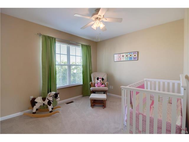 1248 Cold Spring Dr, O'fallon, MO 63368 photo 22