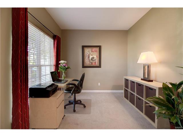 1248 Cold Spring Dr, O'fallon, MO 63368 photo 15