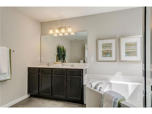 803 Bluff Brook Dr, O'fallon, MO 63366 photo 21