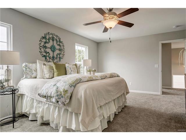 803 Bluff Brook Dr, O'fallon, MO 63366 photo 19