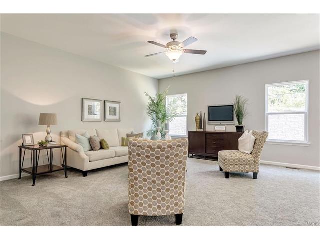 803 Bluff Brook Dr, O'fallon, MO 63366 photo 6