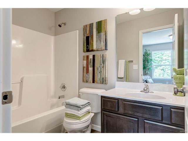 803 Bluff Brook Dr, O'fallon, MO 63366 photo 27