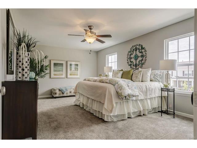 803 Bluff Brook Dr, O'fallon, MO 63366 photo 17