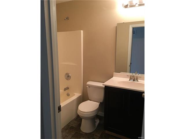 46 Red Cedar, Saint Charles, MO 63303 photo 9