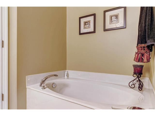 17230 Windsor Crst, Glencoe, MO 63038 photo 19