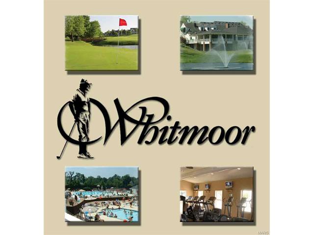 32 Rathfarnum Ln, Weldon Spring, MO 63304 photo 41