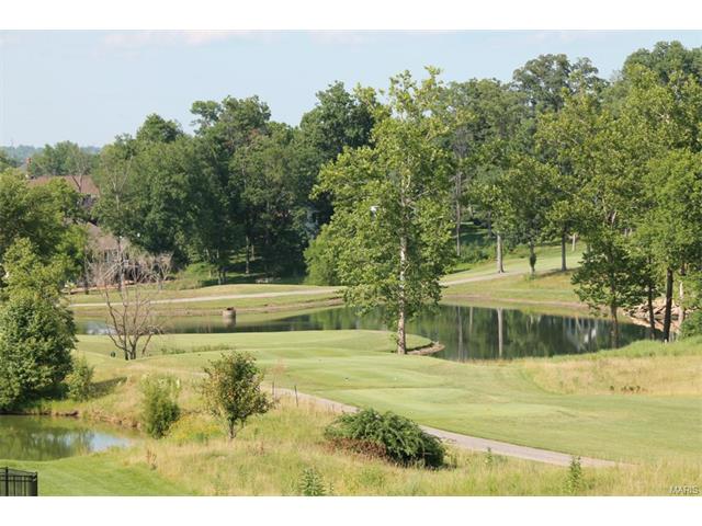 32 Rathfarnum Ln, Weldon Spring, MO 63304 photo 5