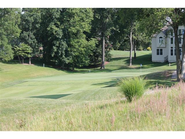 32 Rathfarnum Ln, Weldon Spring, MO 63304 photo 38