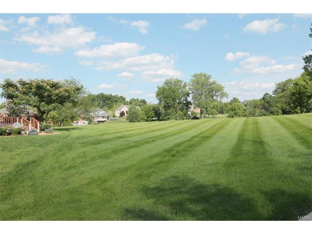 32 Rathfarnum Ln, Weldon Spring, MO 63304 photo 39