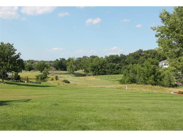32 Rathfarnum Ln, Weldon Spring, MO 63304 photo 6