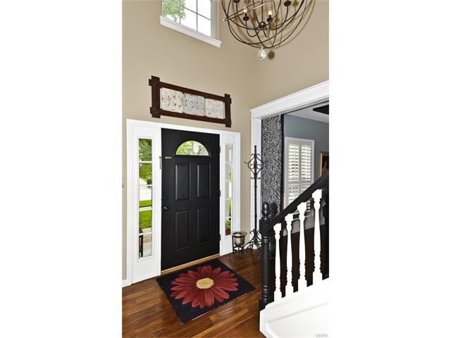 415 Leicester Sq, Ballwin, MO 63021 photo 39