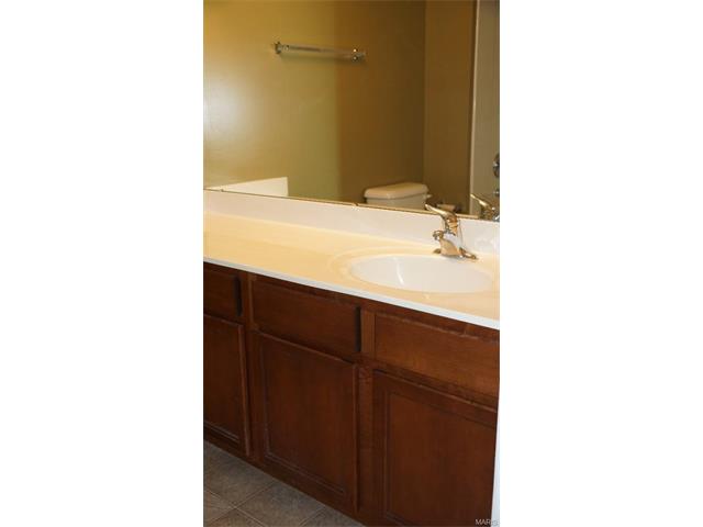 10201 Spring Crk, O'fallon, MO 63368 photo 16