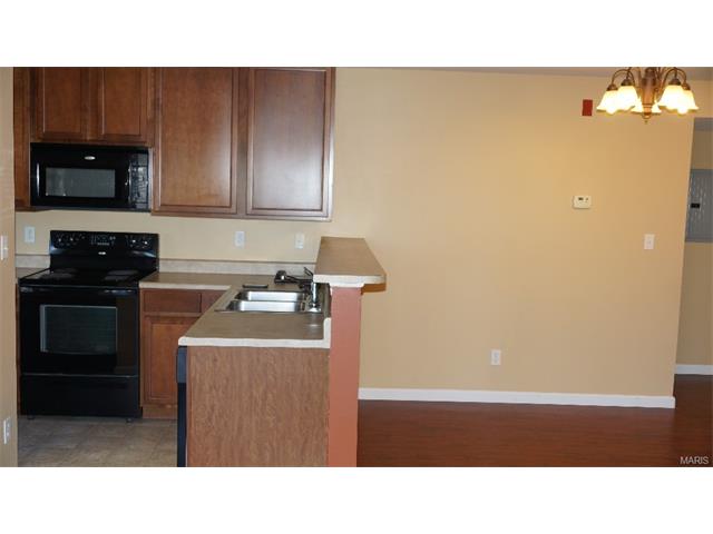 10201 Spring Crk, O'fallon, MO 63368 photo 4