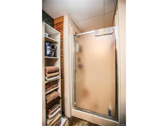 514 Joyce Ann Dr, Ballwin, MO 63021 photo 31