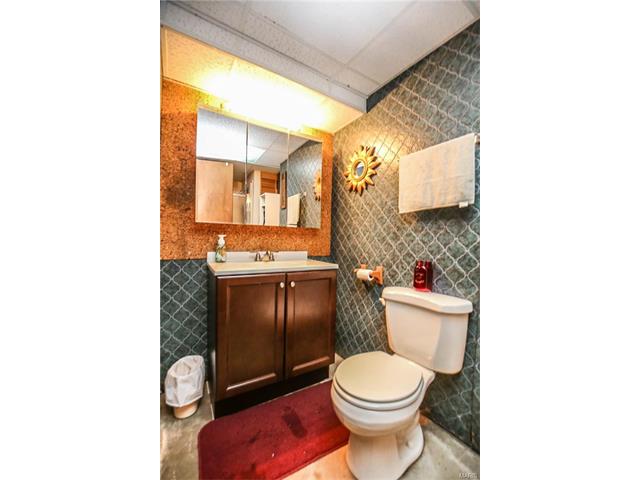 514 Joyce Ann Dr, Ballwin, MO 63021 photo 30