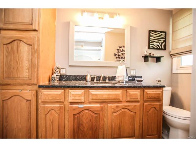 514 Joyce Ann Dr, Ballwin, MO 63021 photo 21