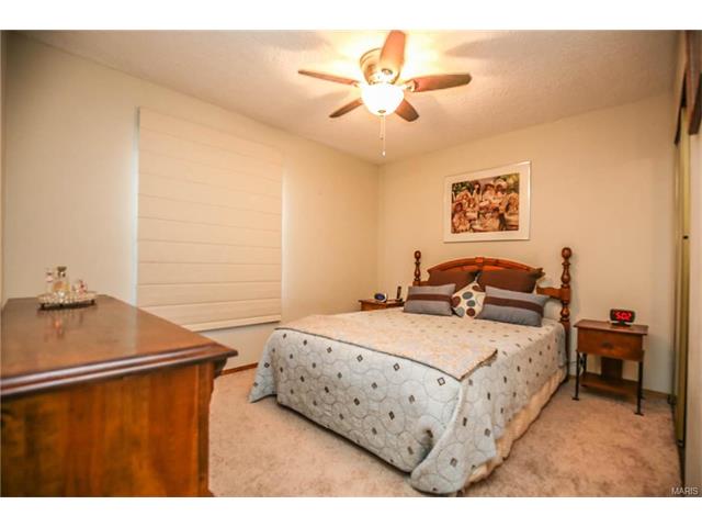 514 Joyce Ann Dr, Ballwin, MO 63021 photo 16