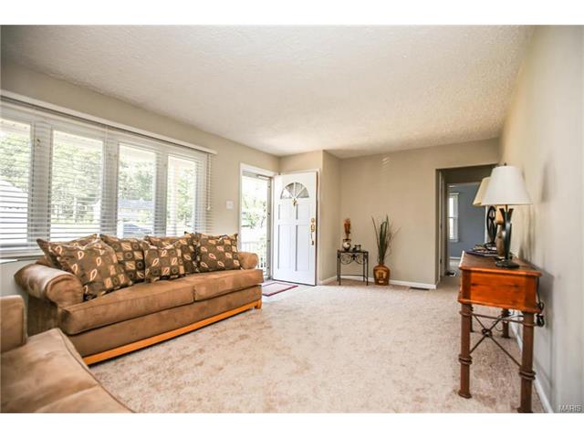514 Joyce Ann Dr, Ballwin, MO 63021 photo 8