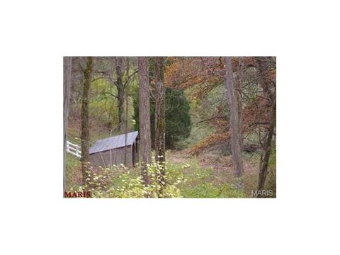 636 Strecker Rd, Wildwood, MO 63011 photo 43